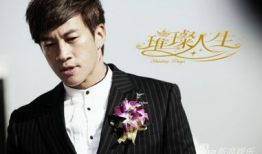 何润东演的电视剧,何润东演绎传奇英雄